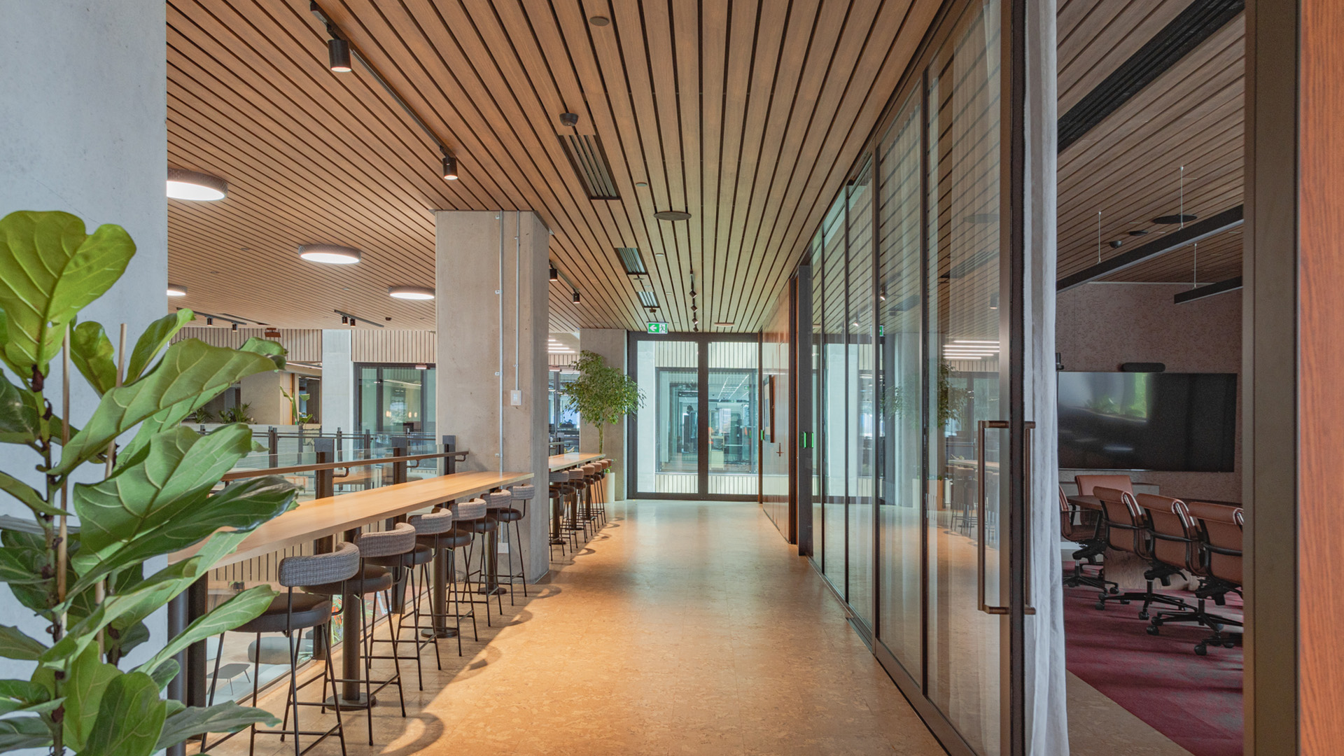 MOTT MACDONALD - Image 7