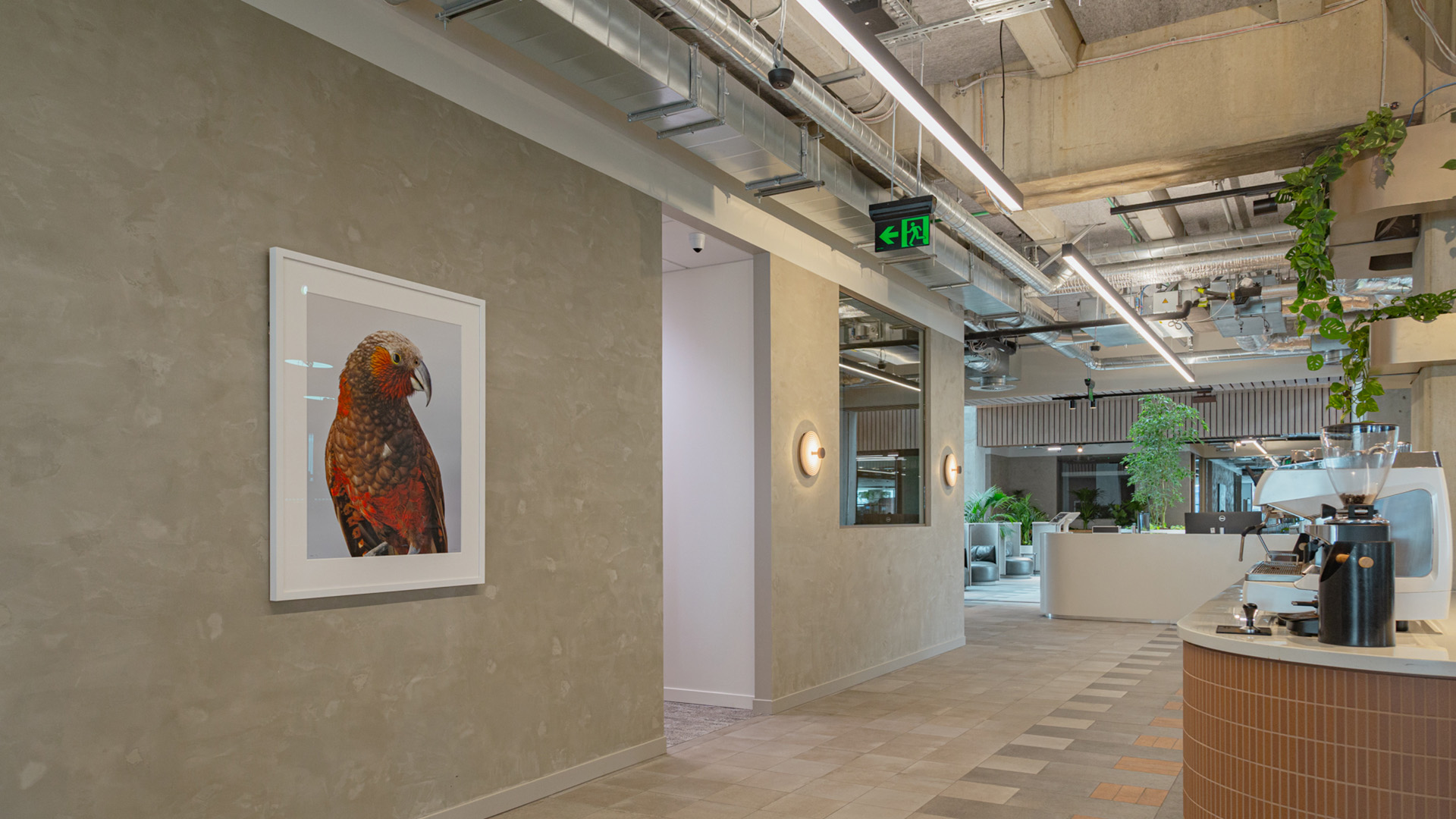 MOTT MACDONALD - Image 12