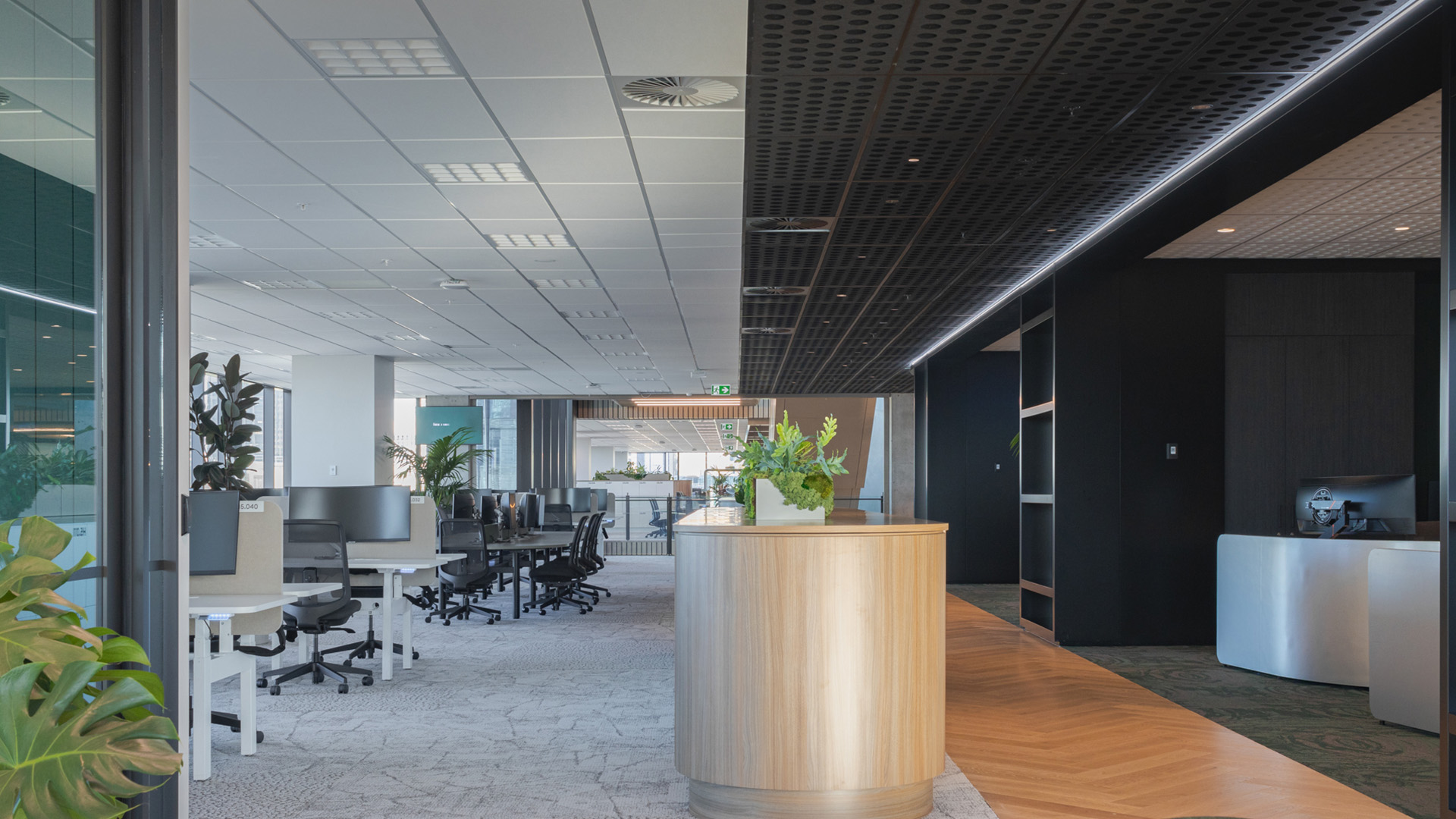 ONE NZ - Image 6