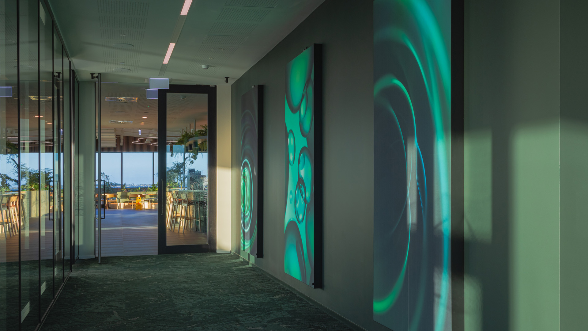 ONE NZ - Image 9