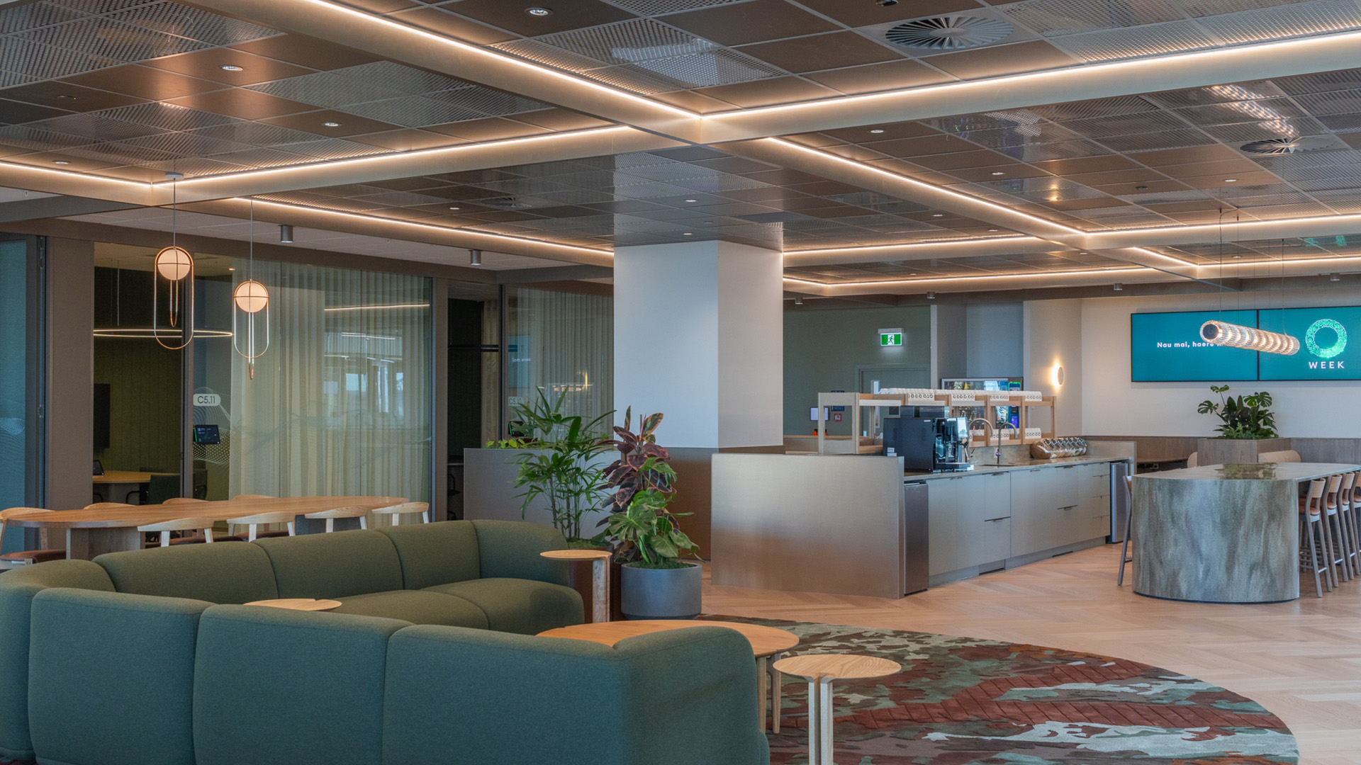ONE NZ - Image 14